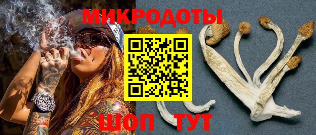 Галлюциногенные грибы GOLDEN TEACHER Тольятти