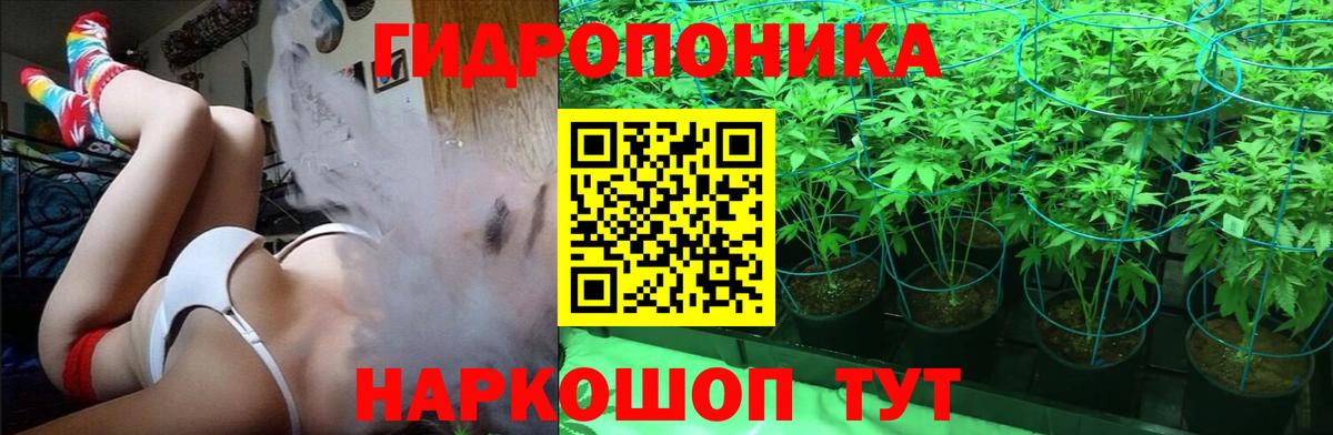 Каннабис White Widow  Вход с VPN  Шишки марихуана гибрид  Тольятти  Канабис AK-47 